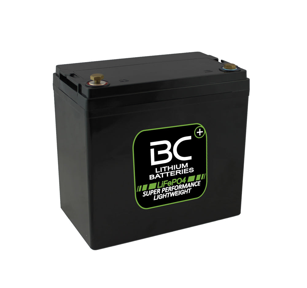 BCLT100  Lithium LiFePO4 Battery, 12.4 kg, 12V 100 Ah Deep